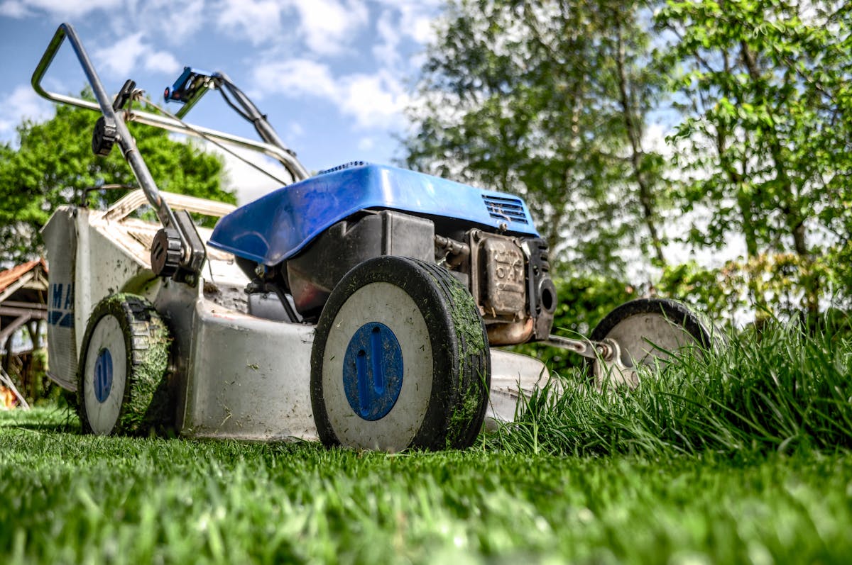 Lawn mower cutting green grass on a sunny day